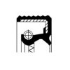 CORTECO 12015555B Shaft Seal, differential